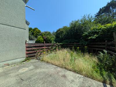 Picture 12